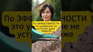 По эффективности это удобрение для почвы можно сравнить с навозом #садовод #удобрения #подкормки