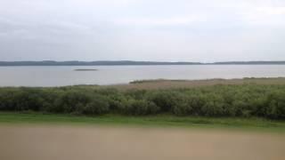 Nature ASMR - Punkt widokowy - Jezioro Łuknajno - Birds & Wind