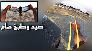 صيد حمام الجزء 76 Pigeon hunting