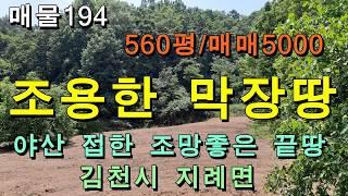 (매매완료)막장땅/김천시 지례면 자연인땅/560평,매매5000만원/자연인,주말텃밭,귀촌인,농막설치용 최적의 산속 시골 끝땅