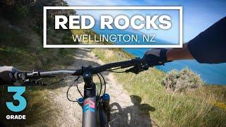 SCENIC CRUISE - Red Rocks Mountain Bike Trail (Grade 3) | Te Kopahou Reserve, Wellington