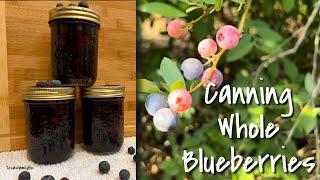 How to Preserve Blueberries: 3 Simple Ingredients!