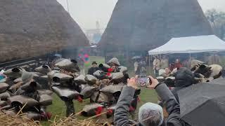 Traditii de Craciun in Maramures