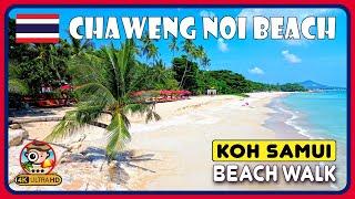 Chaweng Noi KOH SAMUI THAILAND (Awesome hidden beach in Samui!) 4K Walking Tour / 4K Beach Walk