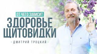 ОТ ЧЕГО ЗАВИСИТ ЗДОРОВЬЕ ЩИТОВИДКИ