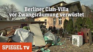 Zwangsräumung bei den Rammos: Clan-Familie verwüstet Berliner Villa | SPIEGEL TV