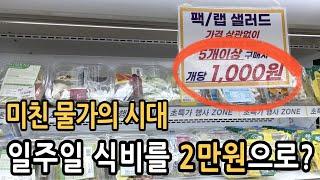 일주일 식비 2만원에 해결하는 절약 방법 - 충주 오픈박스