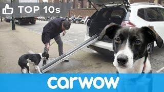 Nissan X-Trail 4Dogs - see its cool canine-friendly features | Top10s