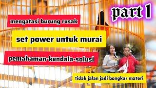 set power untuk murai part 1 tentang pemahaman set power kendala dan solusinya