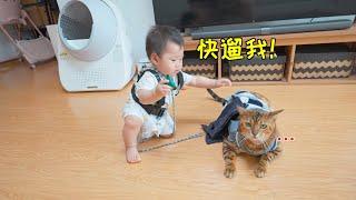 猫 做 男 妈 妈，带 娃 能 活 吗 ？【蒂姆嘟嘟Tim】