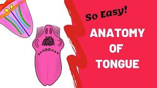 Anatomy of Tongue Simplified