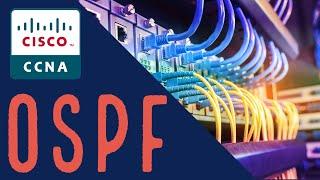 OSPF Network Types | Broadcast and Point To Point Networks