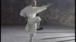 少林大罗汉拳 Shaolin da luohan quan - Shaolin Arhat Boxing Combat technique