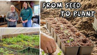 From Seed to Full-Grown Plant || Kilmurry Nursery Tips & Tricks