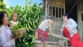 Harvesting star fruit on a sunny day, a single mother makes her own bamboo door | Sung Thi So