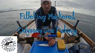 Filleting Knife | Odyssey Sea Fishing UK.