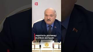 Лукашенко: Работать должны в 3 раза больше! #shorts #лукашенко #беларусь #новости #политика