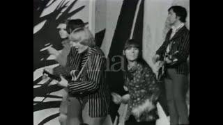 Easybeats -  Pretty Girl (1965)