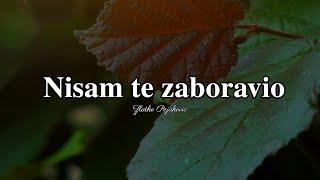 Zlatko Pejaković - Nisam te zaboravio (Official lyric video)