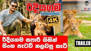 TRAILER | සිංහ පැටව් නලවපු හැටි | Ridiyagama Safari Park Trailer | Kad Thushan | Lion attack.