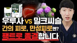 우루사vs밀크씨슬 팩트로 종결하는 복용법. 무엇을 먹어야 할까?