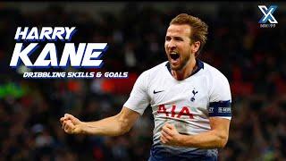 Harry Kane 2019 - Dribbling Skills & Goals - HD