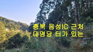 ( 명당부동산 매물16번 ) 충북 음성Ic 근처 대명당 터가 있는 임야매매