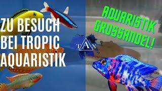 Aquaristik-Großhandel : zu Besuch bei Tropic Aquaristik / TAX