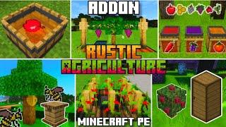 RUSTIC AGRICULTURE ADDON for BEDROCK | MINECRAFT PE +1.21 #addons