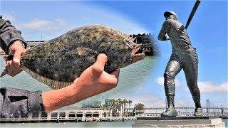 Urban Halibut Fishing!! - San Francisco, California