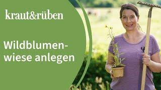 Wildblumenwiese anlegen Unsere Biogarten-Welt