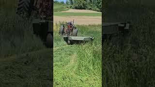 First Cutting Hay in Pennsylvania - International 856 with Haybine