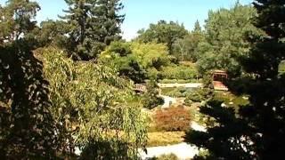 Hakone Gardens - Saratoga, CA