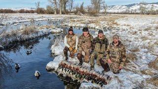 GREENHEADS ONLY!!! 4 Guns, 28 Mallards in the HOT TUB! (Tiny Warm Water Creek to Duck Burritos)
