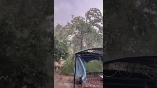 It is raining heavily with a strong wind in my yard