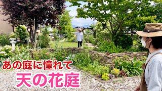 【この庭1人で管理】憧れてコツコツ作ったお花に囲まれた個人庭公開　　　　　　【カーメン君】【園芸】【ガーデニング】【個人庭】【天野さん】