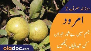 Amrood Khane Ka Fayde/Fawaid- Benefits of Guava - Best Time & Way To Eat Guava Amrud Khane Ka Tarika