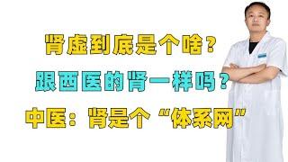 肾虚到底是个啥？跟西医的肾一样嘛？中医：肾是个“体系网”