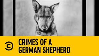 Crimes Of A German Shepherd | Chappelle's Show | Comedy Central Africa