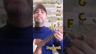 Ukulele - 60 Sny 7 Akor - Bir Nakarat - Begonvil