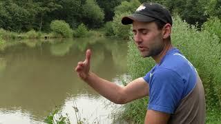 Match Fishing  - Pole Fishing Shallow with Ben Fisk