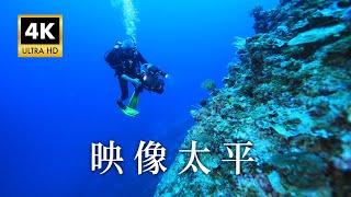 【Taiwan 4K+聲音修復】映像太平｜豐富原始的海洋｜難以到達的國境之南：南沙太平島 (公視我們的島 1134集 2021-12-06)