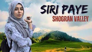 Siri paye, Shogran Valley| Paye Meadows, Shogran, Kaghan Valley| Seema Batool