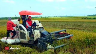 KOMBEN HARVESTER KUBOTA DC 35 MEMANEN PADI 32