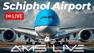  LIVE: Crosswindy Arrivals at Amsterdam Schiphol Airport | August 25, 2024