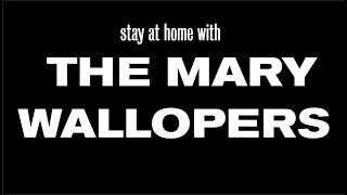 Stay at Home With The Mary Wallopers on Paddys Day 2021