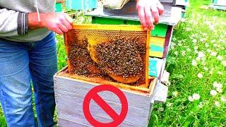Неприятности на пасеке продолжаются! Пчеловодство идёт не по плану.