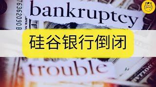 继雷曼兄弟最大银行倒闭事件|| 硅谷银行倒闭 Collapse of Silicon Valley Bank (SVB) 超出你想象的银行倒闭案