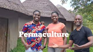 How this Malawian farmer built a paradise using Permaculture Farming Principles = Part  : 1