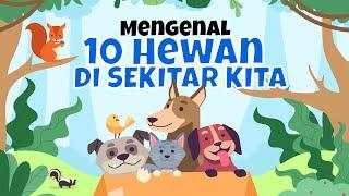 Mengenal 10 Hewan Di Sekitar Kita